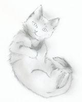 Sweet Kitty